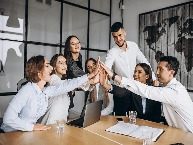 DEVELOPING HIGH PERFORMANCE TEAMS