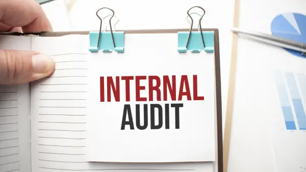 BUSINESS KNOWLEDGE FOR INTERNAL AUDITING EXCELLENCE