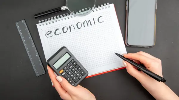MACRO & MICRO ECONOMICS FOR BUSINESS PROFESSIONALS