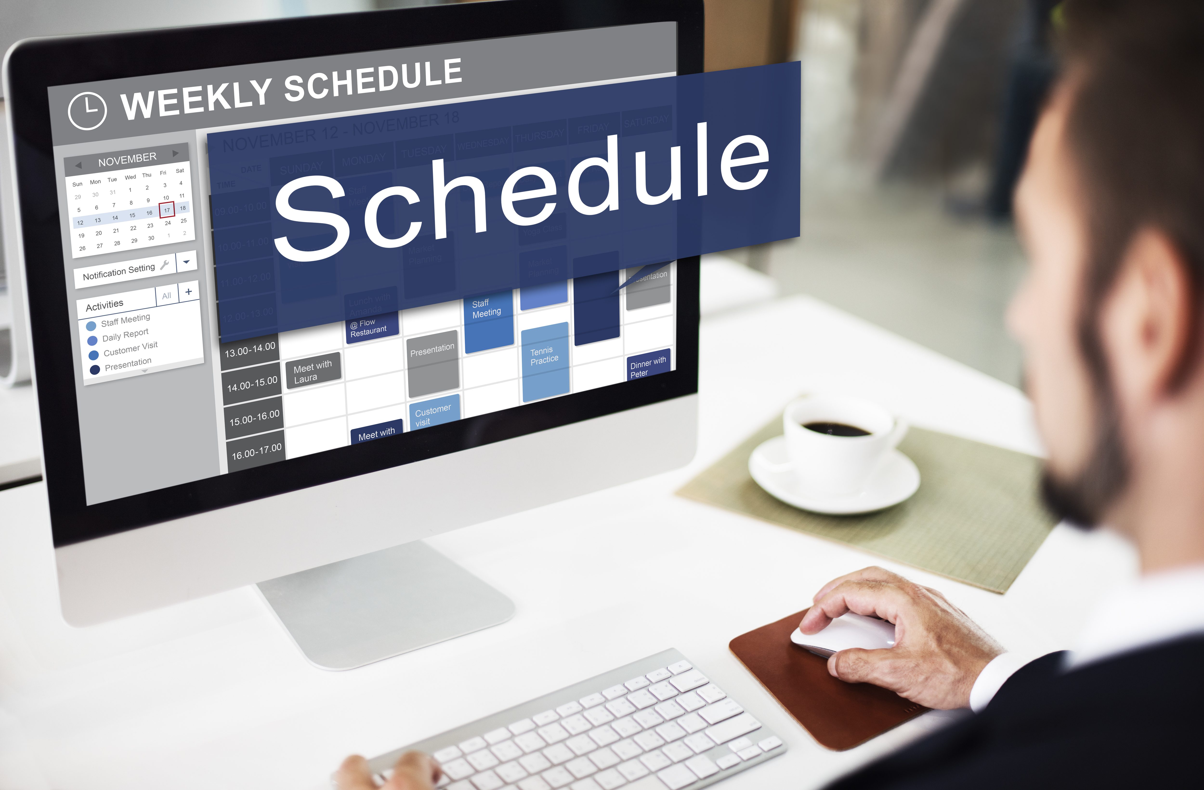 EXAM PREPARATION FOR SCHEDULING PROFESSIONAL (PMI-SP) — course overview
